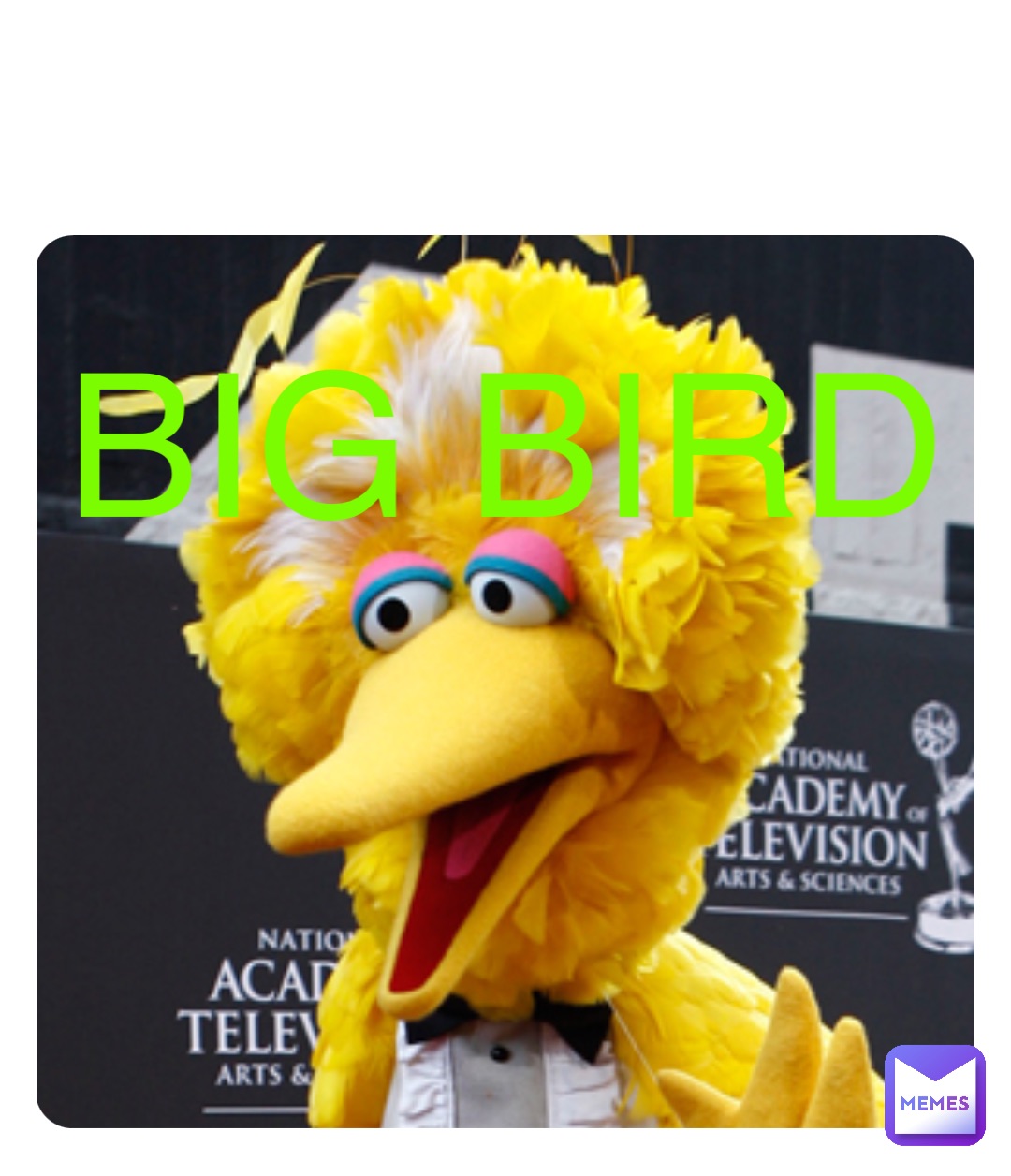 Double tap to edit BIG BIRD