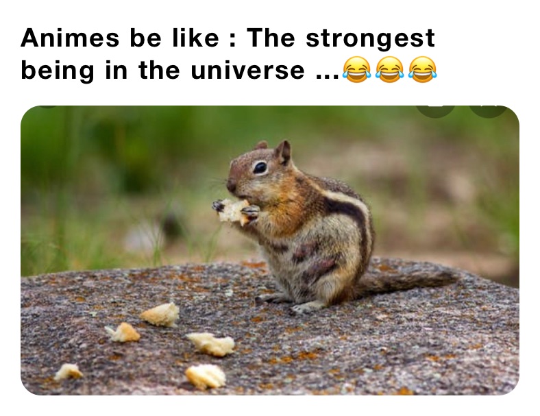 Animes be like : The strongest being in the universe ...😂😂😂