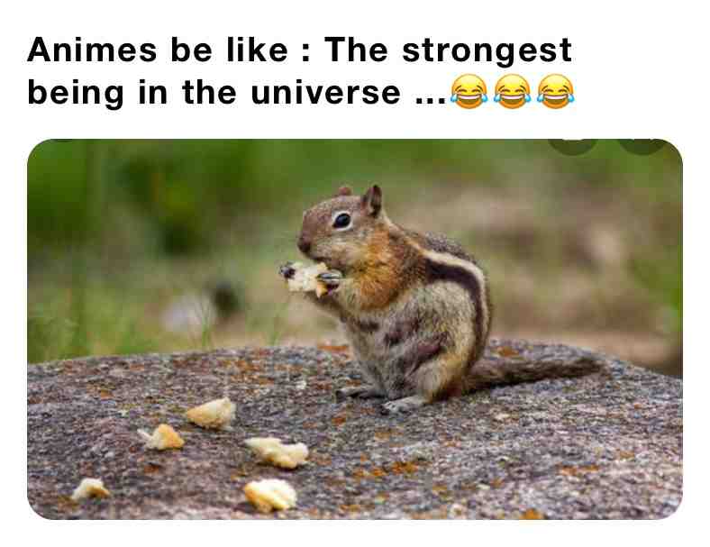 Meme preview