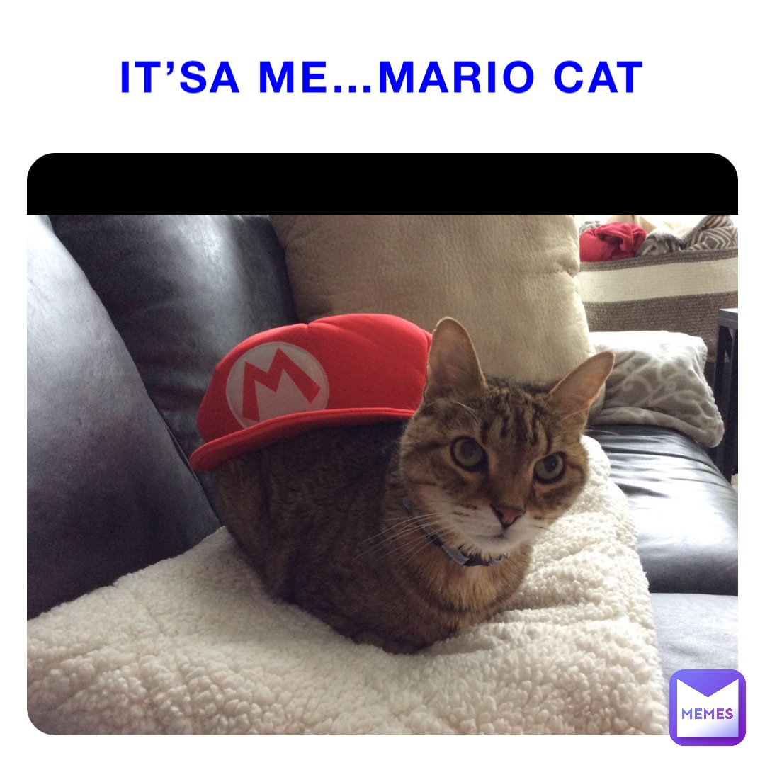 It’sa me…Mario Cat