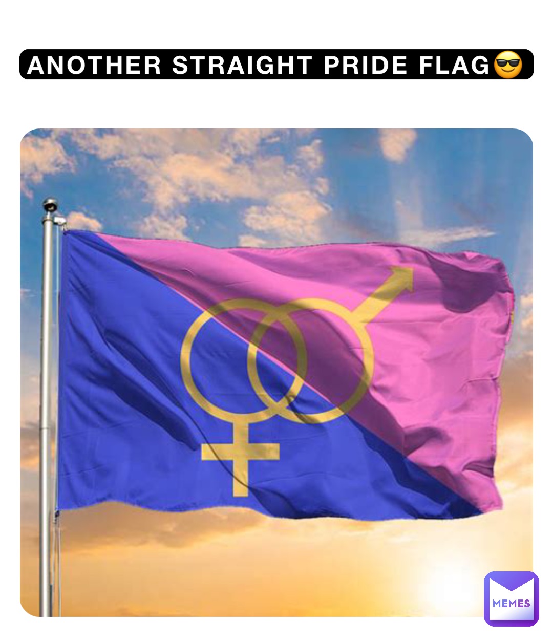 Another Straight Pride Flag😎