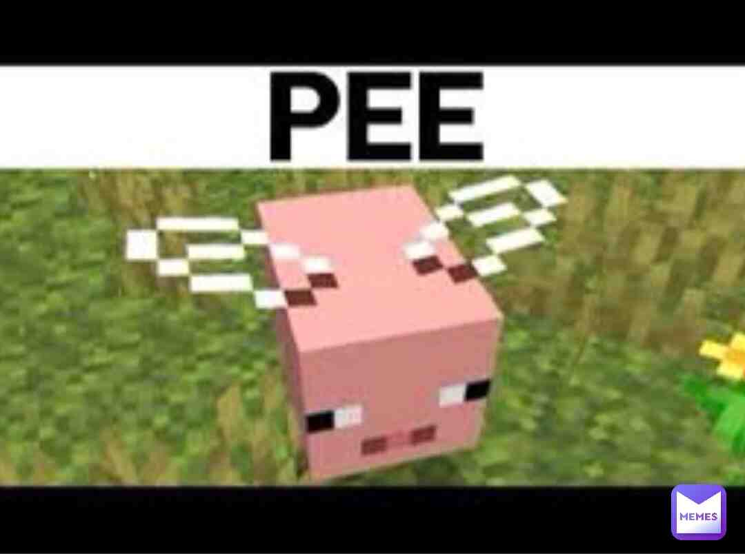 Meme shared by @Lincoln23