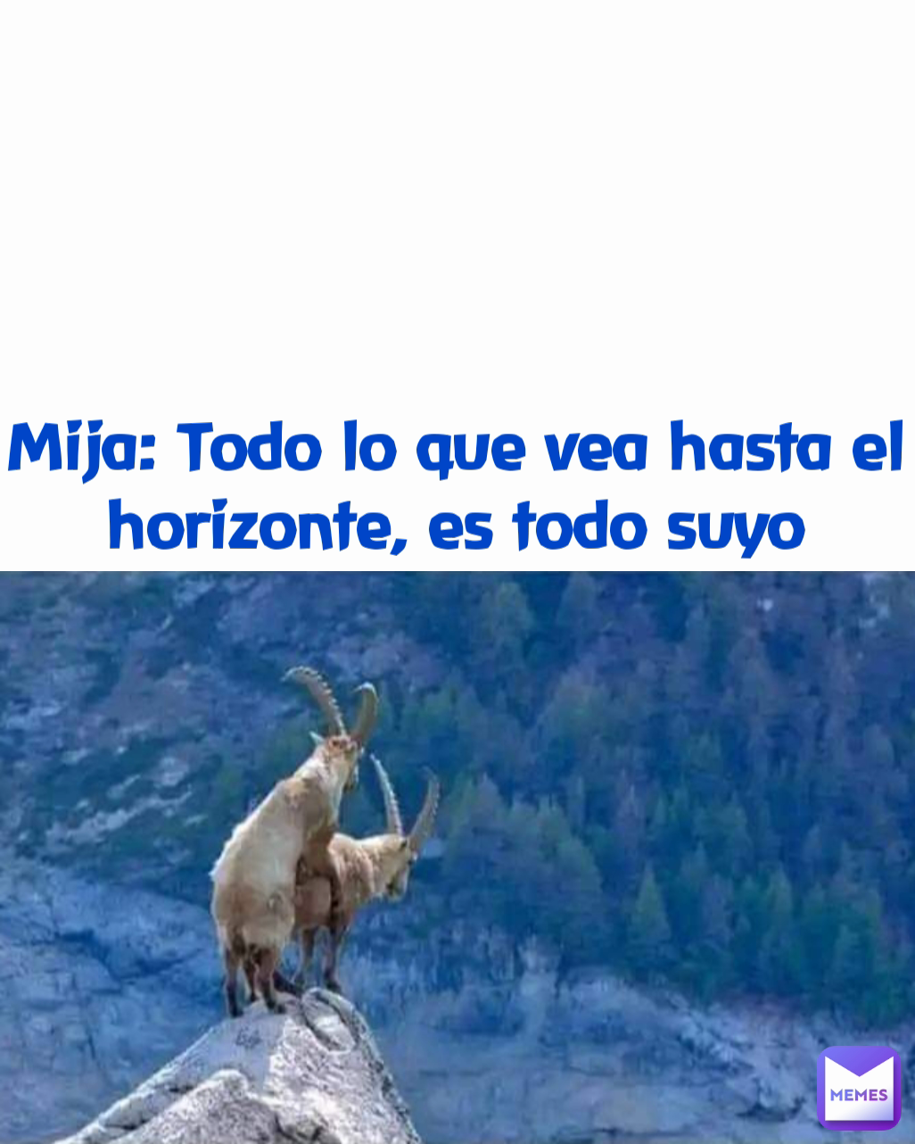 Mija: Todo lo que vea hasta el horizonte, es todo suyo
