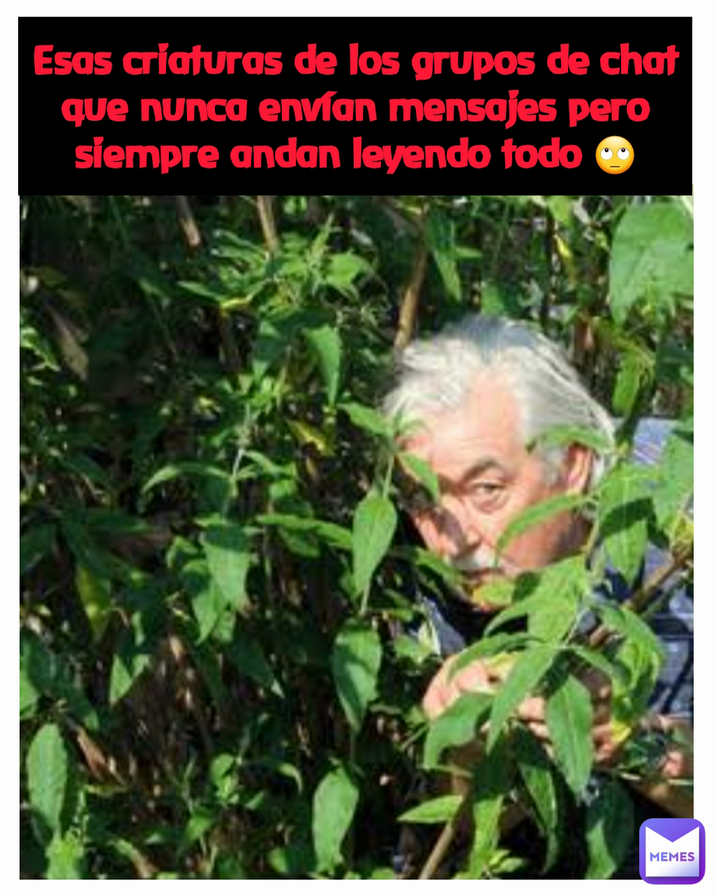 Esas criaturas de los grupos de chat que nunca envían mensajes pero siempre andan leyendo todo 🙄