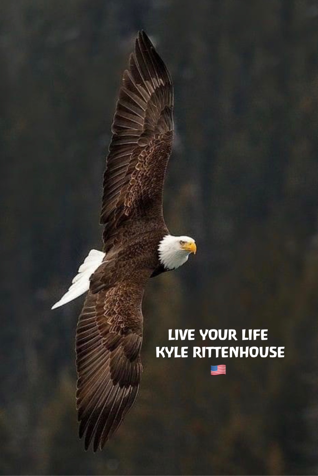 LIVE YOUR LIFE
KYLE RITTENHOUSE 
🇺🇸
