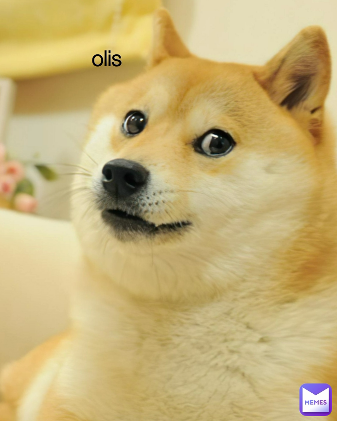 olis
