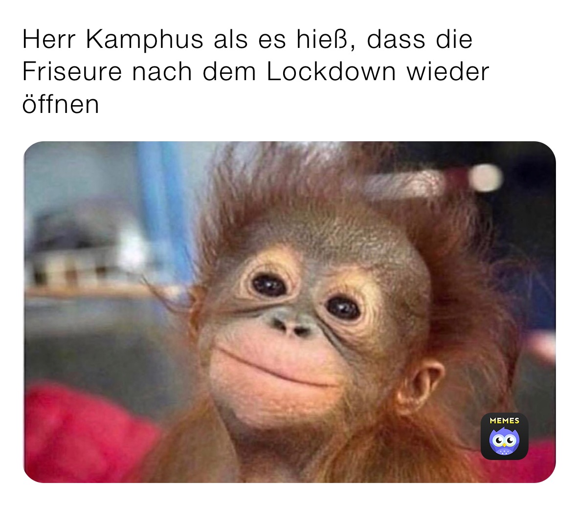 Herr Kamphus als es hieß, dass die Friseure nach dem Lockdown wieder öffnen 