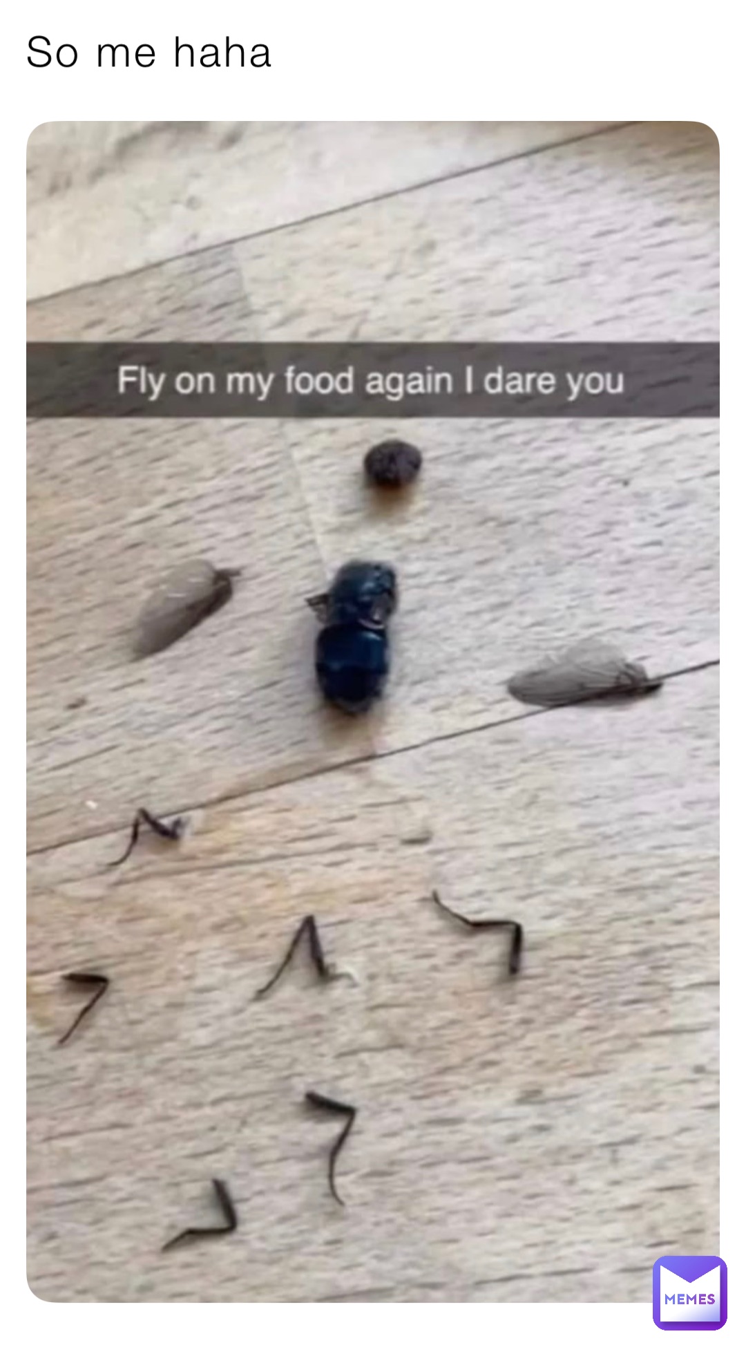 Meme by Sage_The_Therian