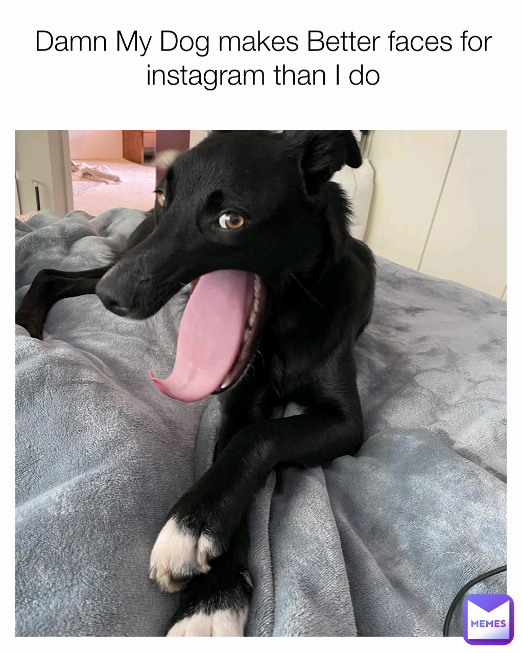 Meme by UniverseExpired