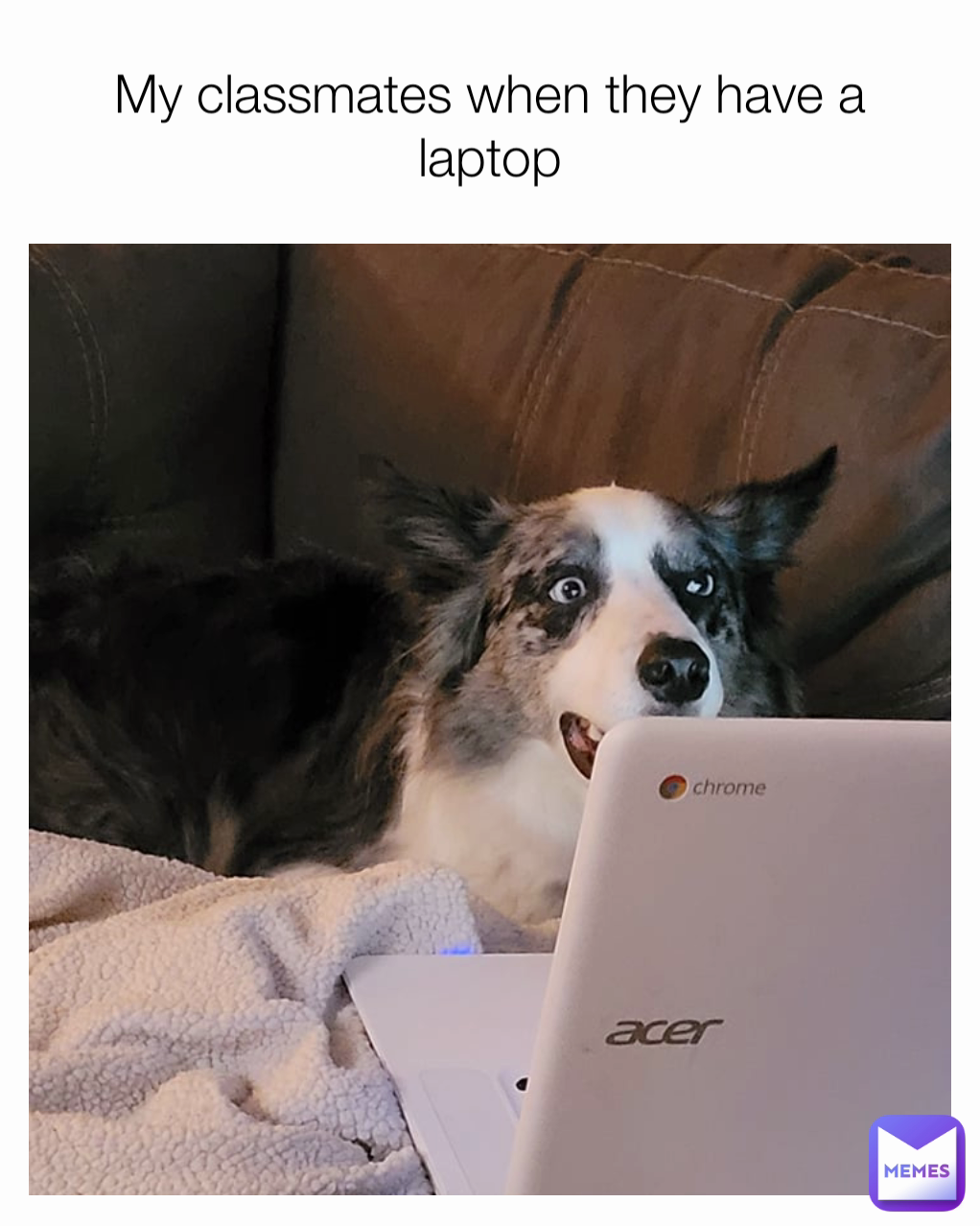 Meme by UniverseExpired