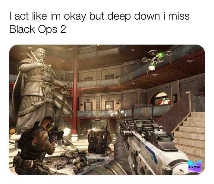 Meme shared by @vPatchMadeHarry