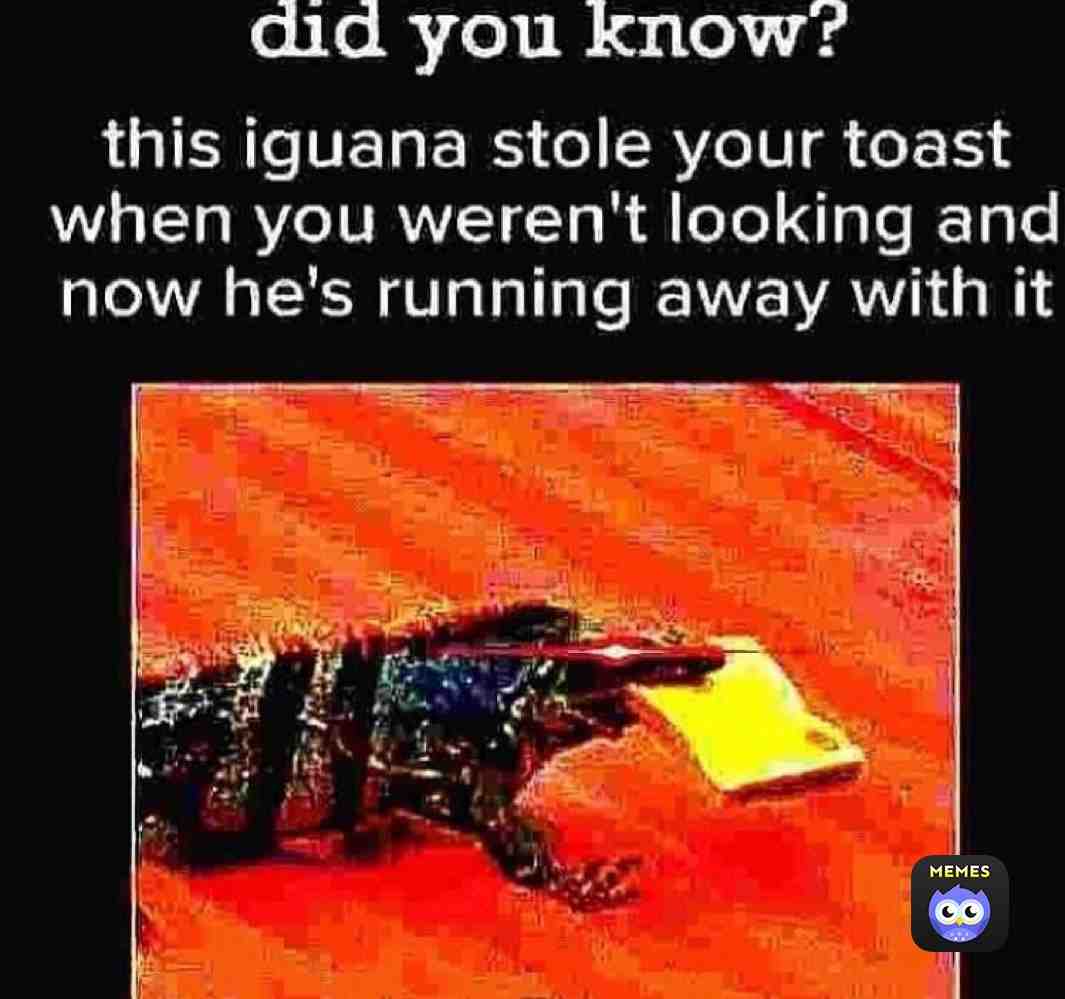 Meme shared by @chickenlegs69