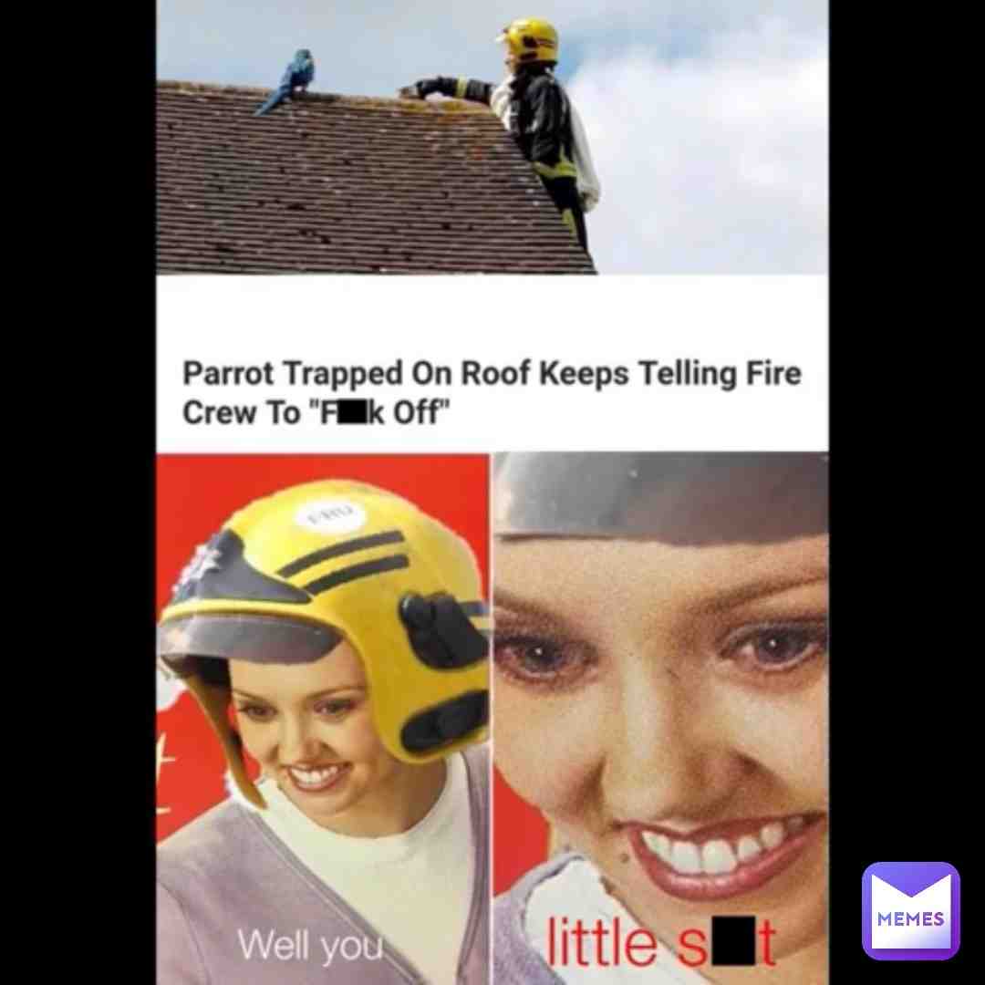 Meme shared by @chickenlegs69