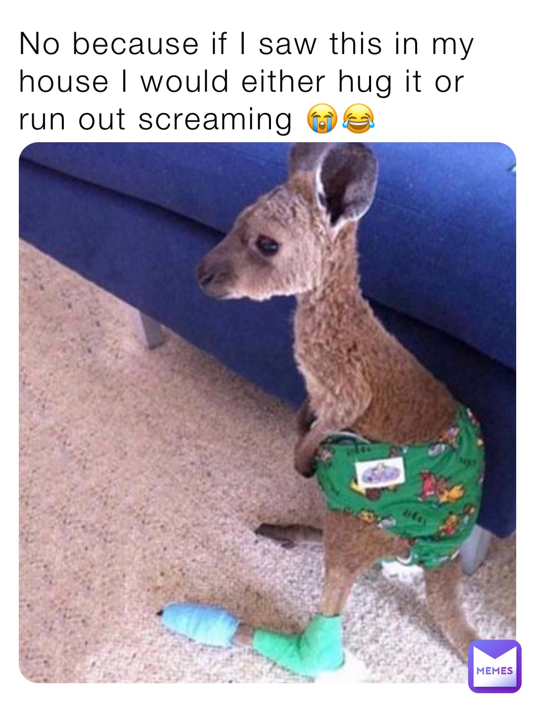 No because if I saw this in my house I would either hug it or run out screaming 😭😂