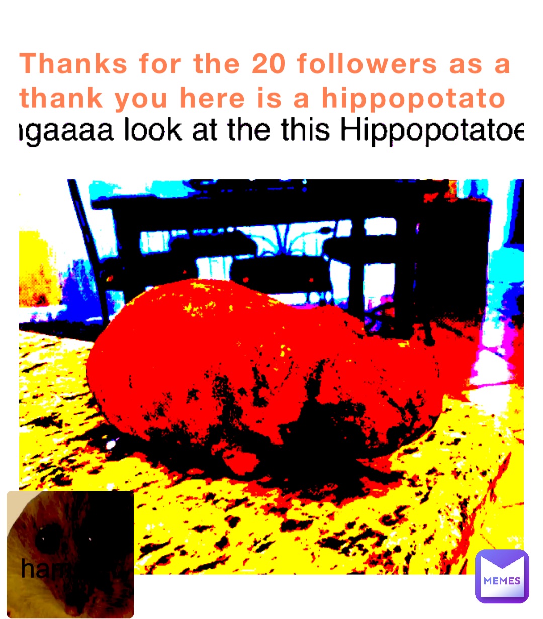 Thanks for the 20 followers as a thank you here is a hippopotato