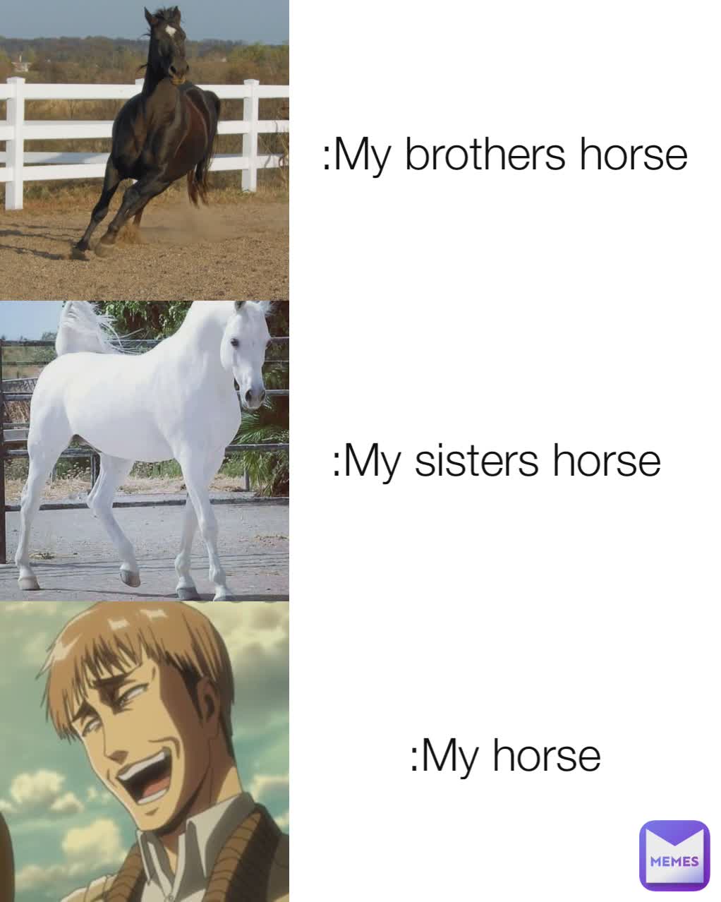 :My horse :My sisters horse :My brothers horse