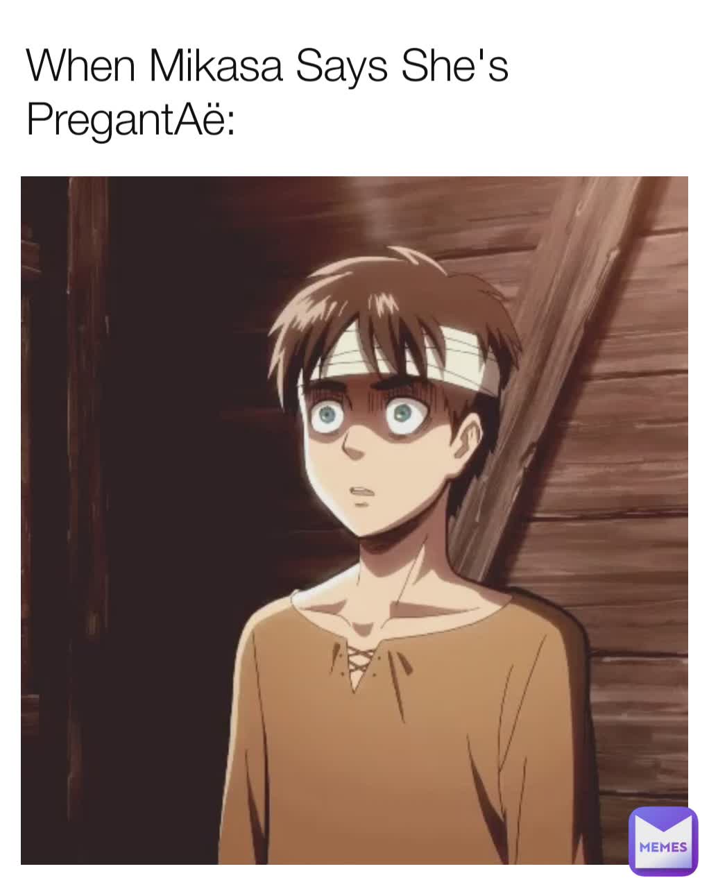 When Mikasa Says She's PregantAë: