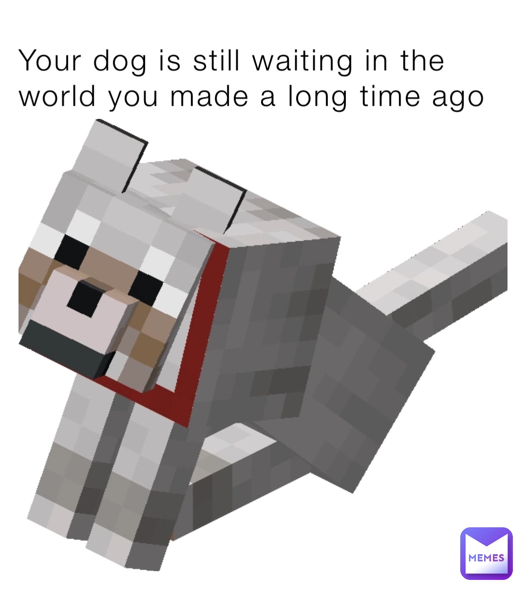 Your dog is still waiting in the world you made a long time ago