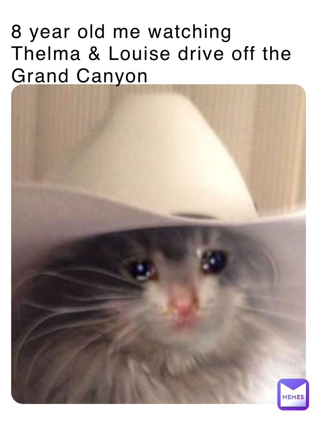 8 year old me watching Thelma & Louise drive off the Grand Canyon