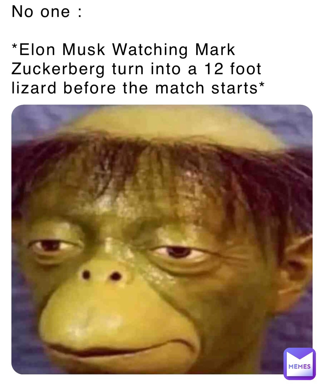 No one : 

*Elon Musk Watching Mark Zuckerberg turn into a 12 foot lizard before the match starts*