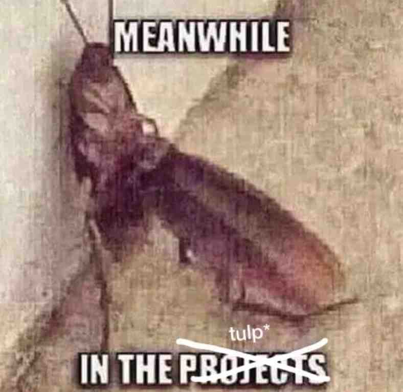 #memes #roach #cockroach #roachcore #instagram #colorblind #lol #dank #memesdaily #fun #funnymemes #comedy #dankmeme #instagood #hilarious #epic #viral #edgy #fy #hype #humor #foryou