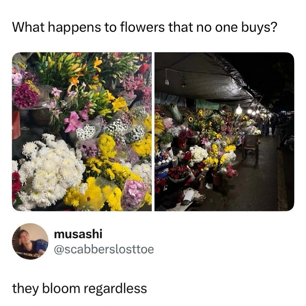 still thriving in solitude