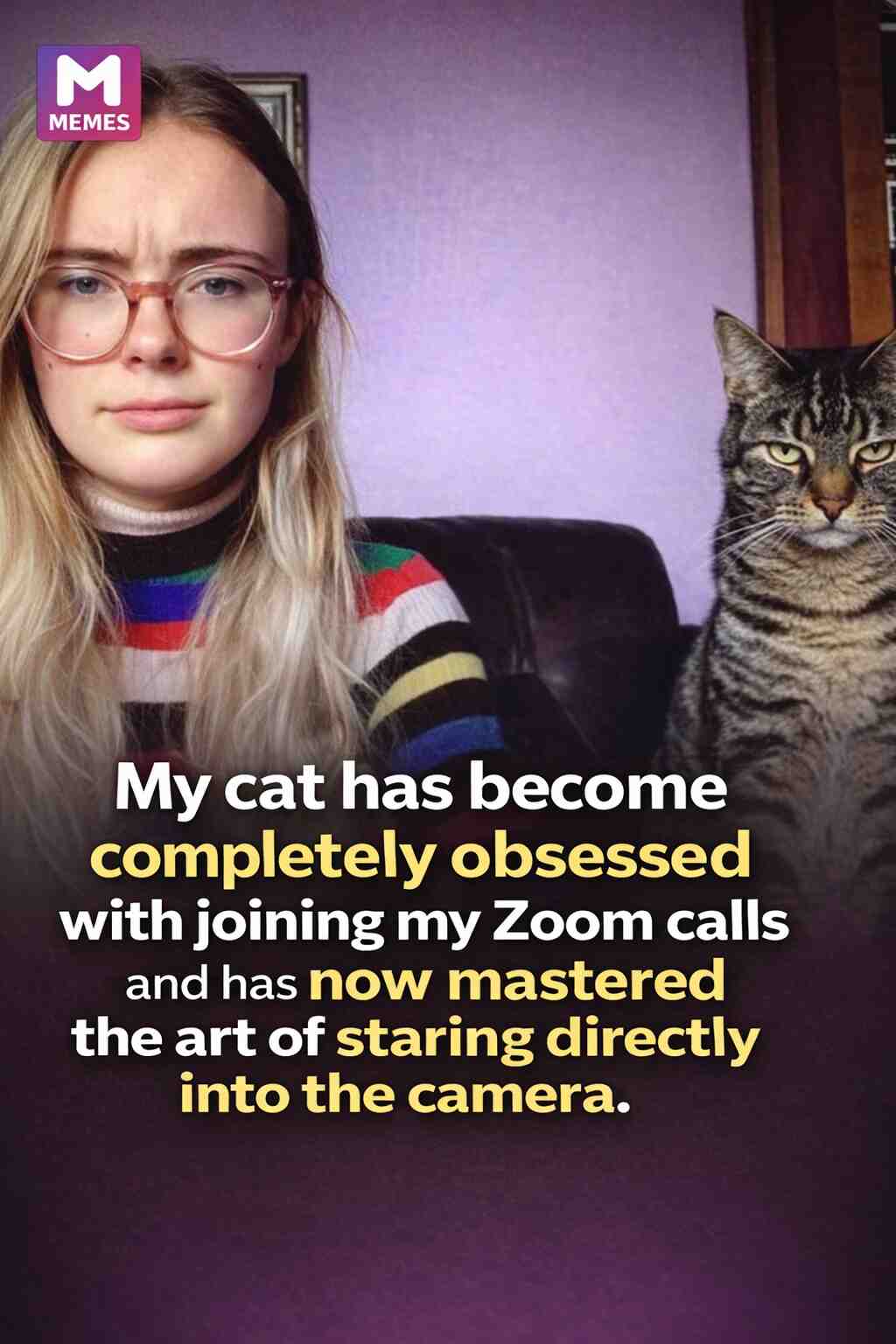 “My cat has become completely obsessed with sitting in on my Zoom calls, and now just stares straight into the camera like it’s part of the meeting.”