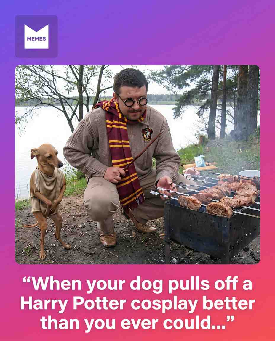 “I tried my best with my Harry Potter costume, but my dog completely stole the show and somehow became the better cosplayer.”