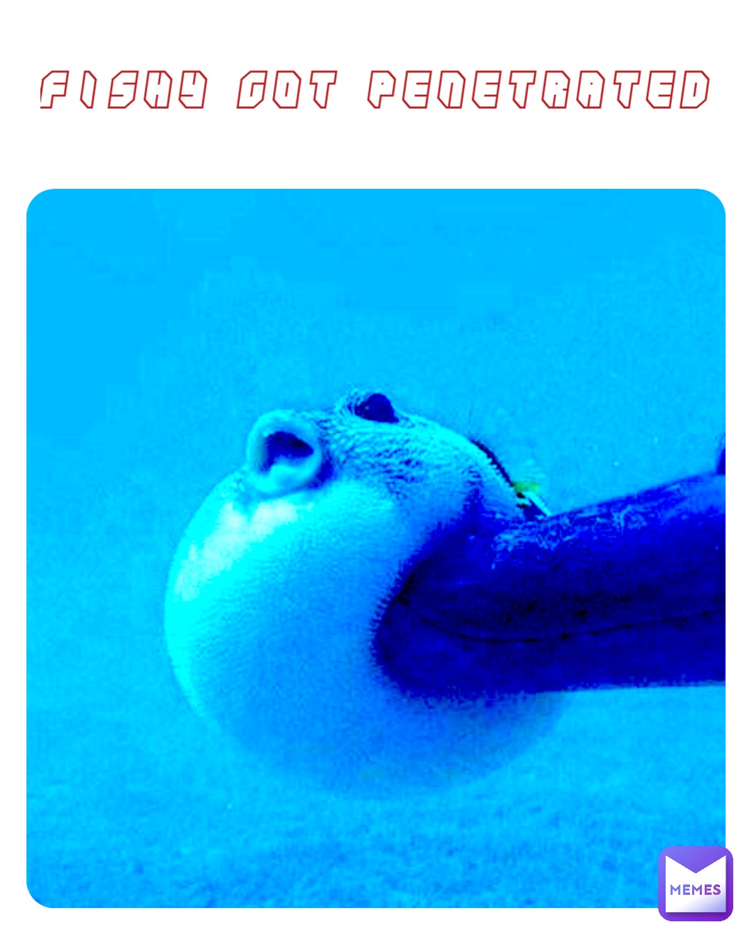FISHY GOT PENETRATED