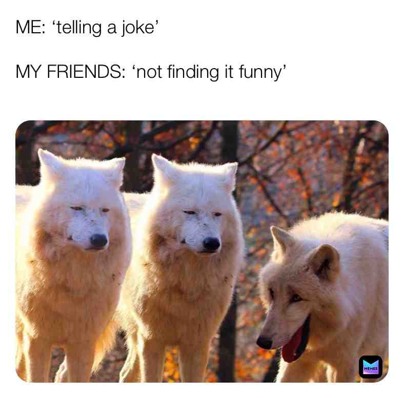 #normalmemes