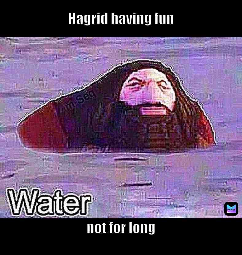 #normalmemes
