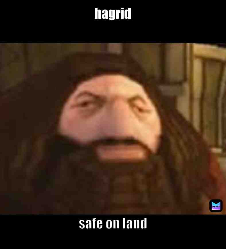 Meme shared by @soildgold