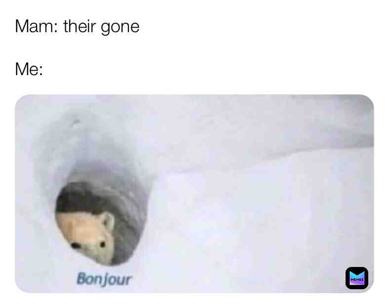 #normalmemes