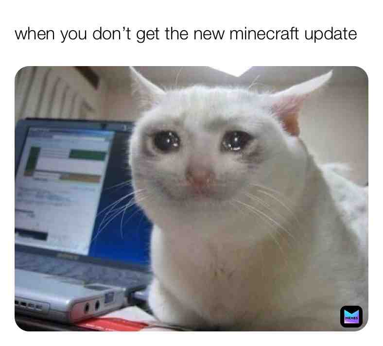#minecraftmemes