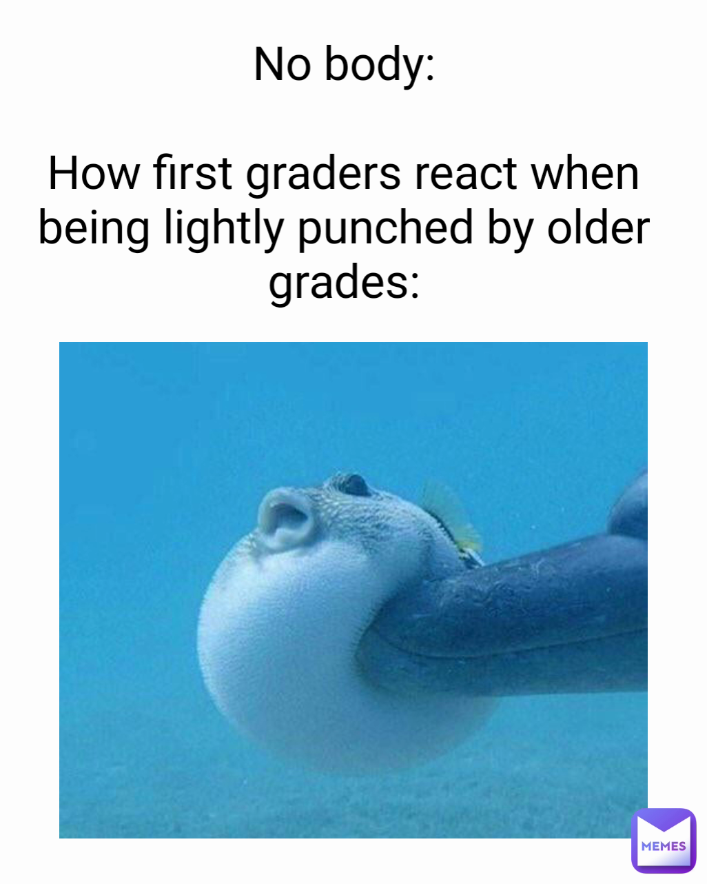 No body:

How first graders react when being lightly punched by older grades: