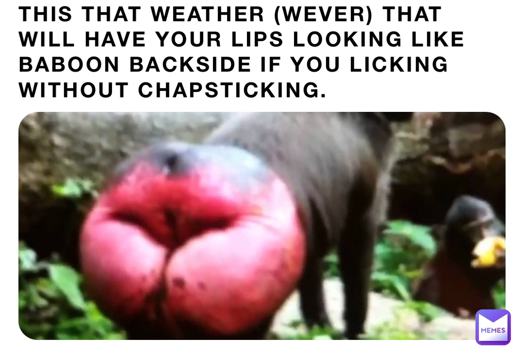 THIS THAT WEATHER (WEVER) THAT WILL HAVE YOUR LIPS LOOKING LIKE BABOON BACKSIDE IF YOU LICKING WITHOUT CHAPSTICKING.