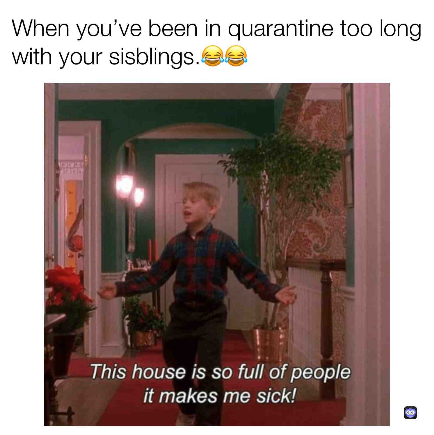  #2020 Oh shit #funny #everyday