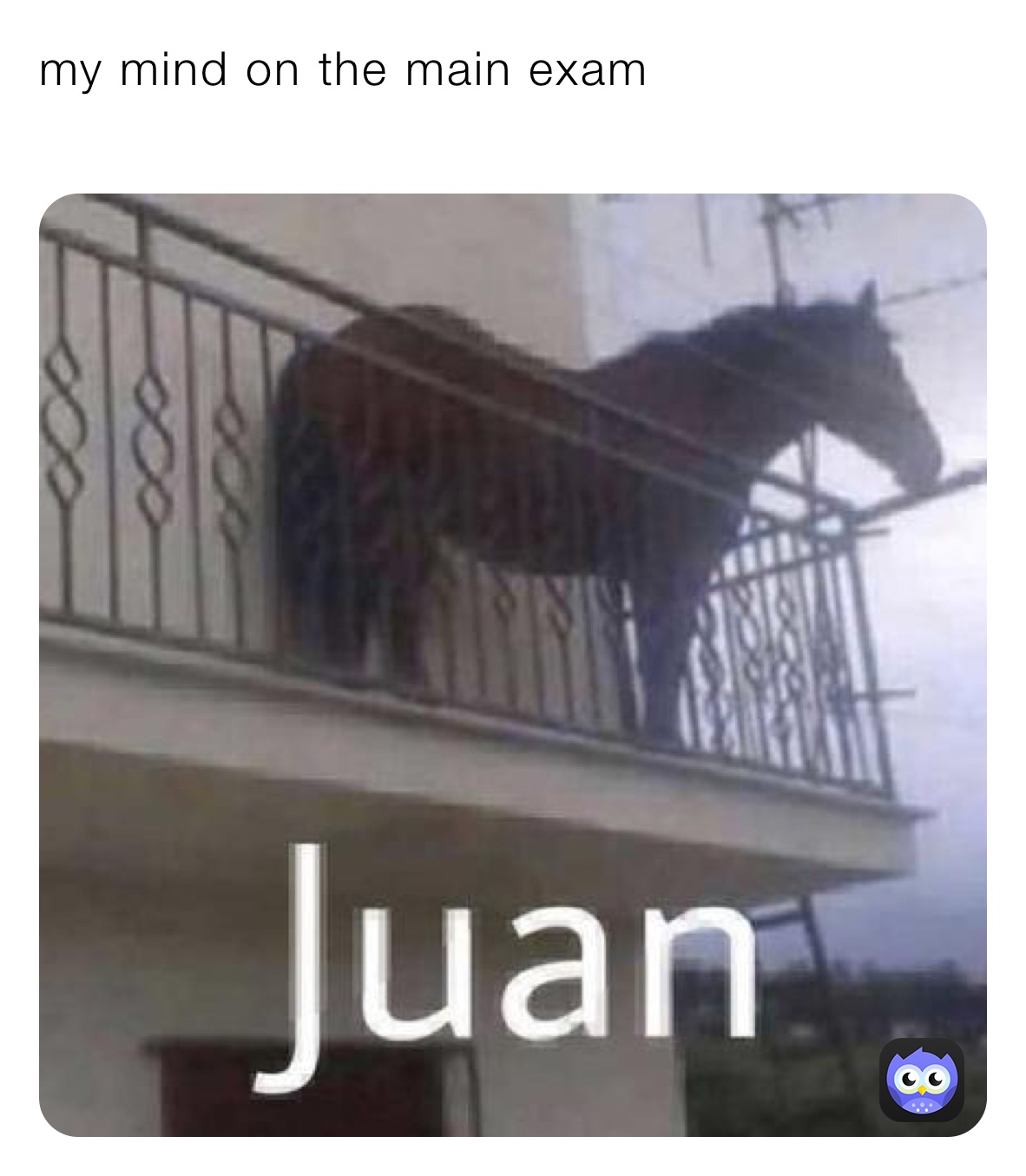 Meme by daniils_memes