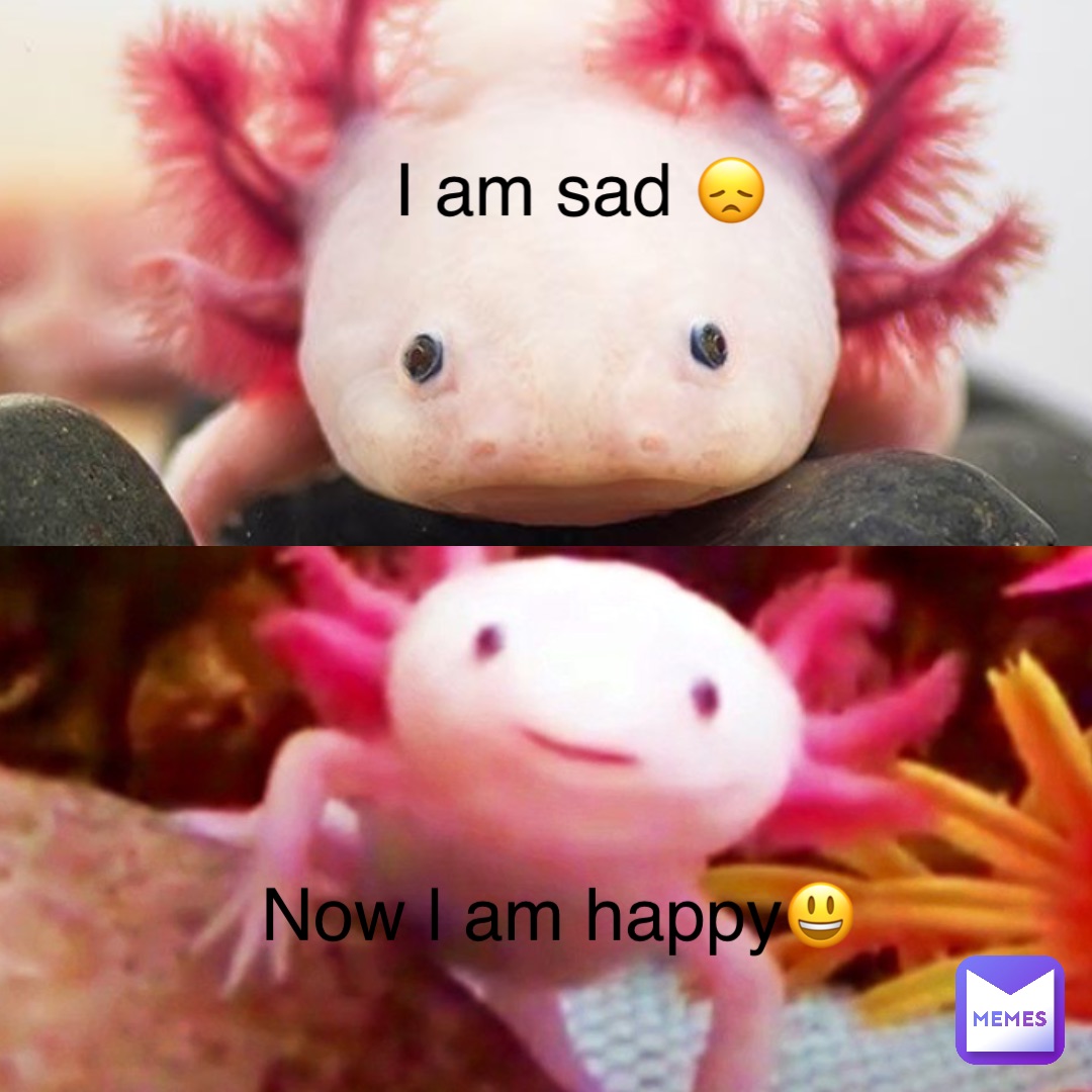 I Am Sad Now L Am Happy Eevee Card Memes