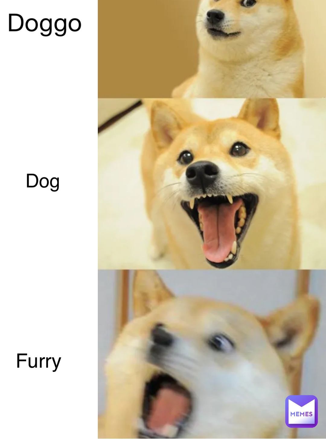 Doggo Dog Furry