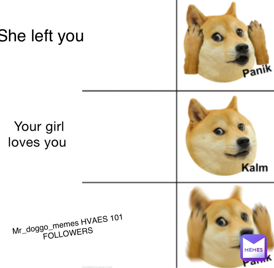 Your girl loves you She left you Mr_doggo_memes HVAES 101 FOLLOWERS