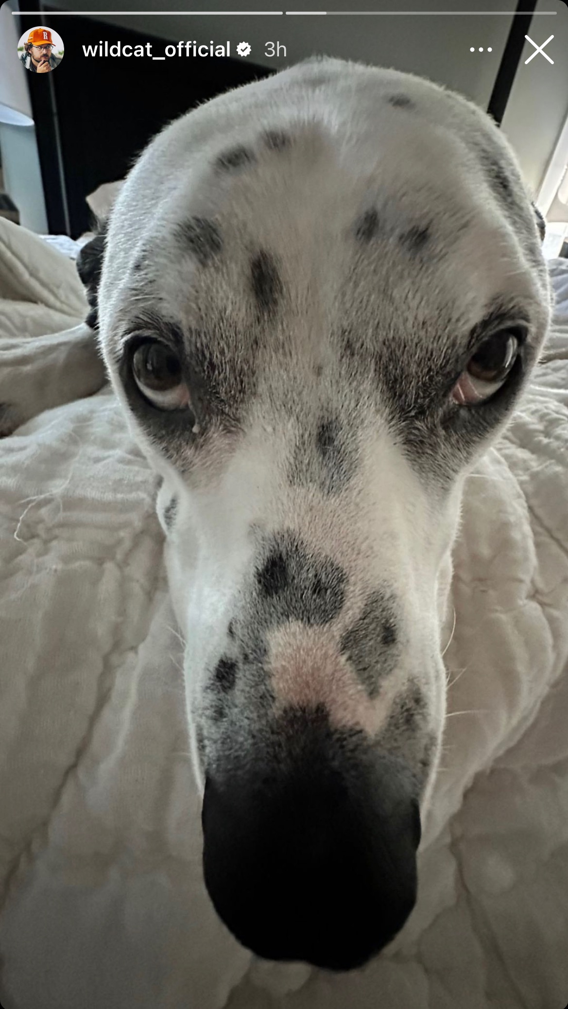 Post by Ghost_141 Memes