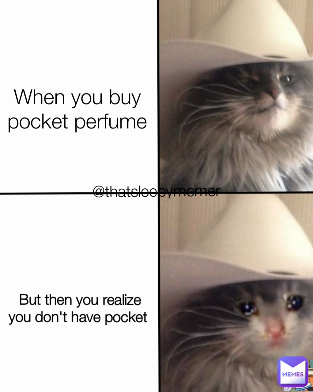 Meme by thatsleepymemer