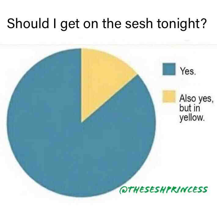 If the pie chart says so then who am I to argue 🤷🏼♀️ #sesh #edm #hardstyle #sendit #plur #edc #ultra #coachella #drop #festival #tomorrowland #shuffle #dance #trance #usa #uk #vegas #belgium #germany #rave #ravers #trancefam #theseshprincess #australia #america #defqon #paradigm #trancefam #meme #memes