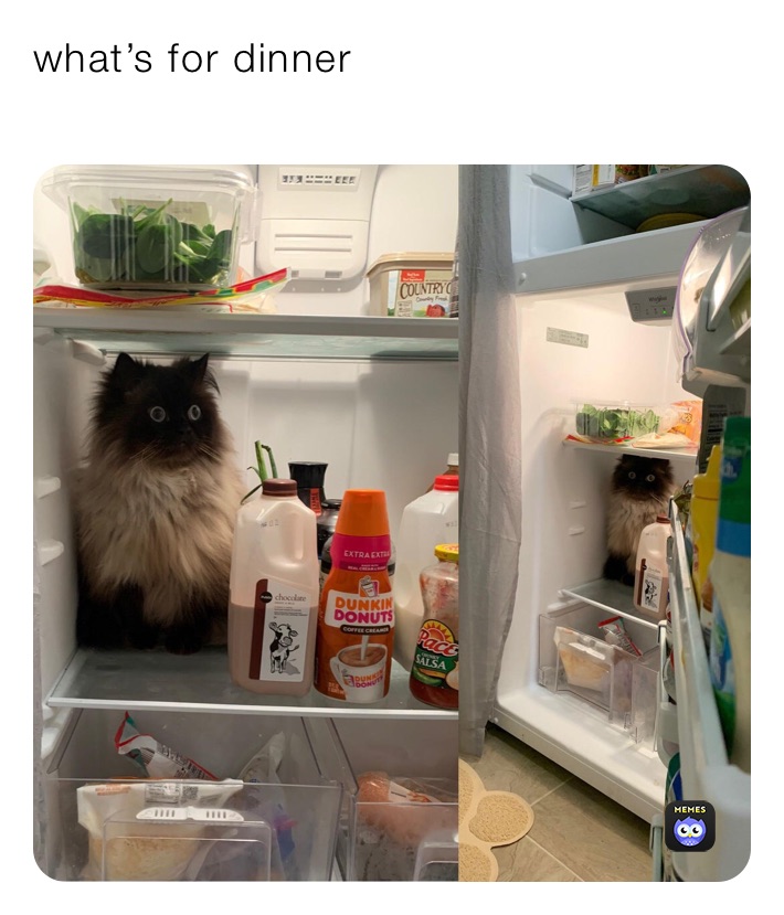 what’s for dinner 

