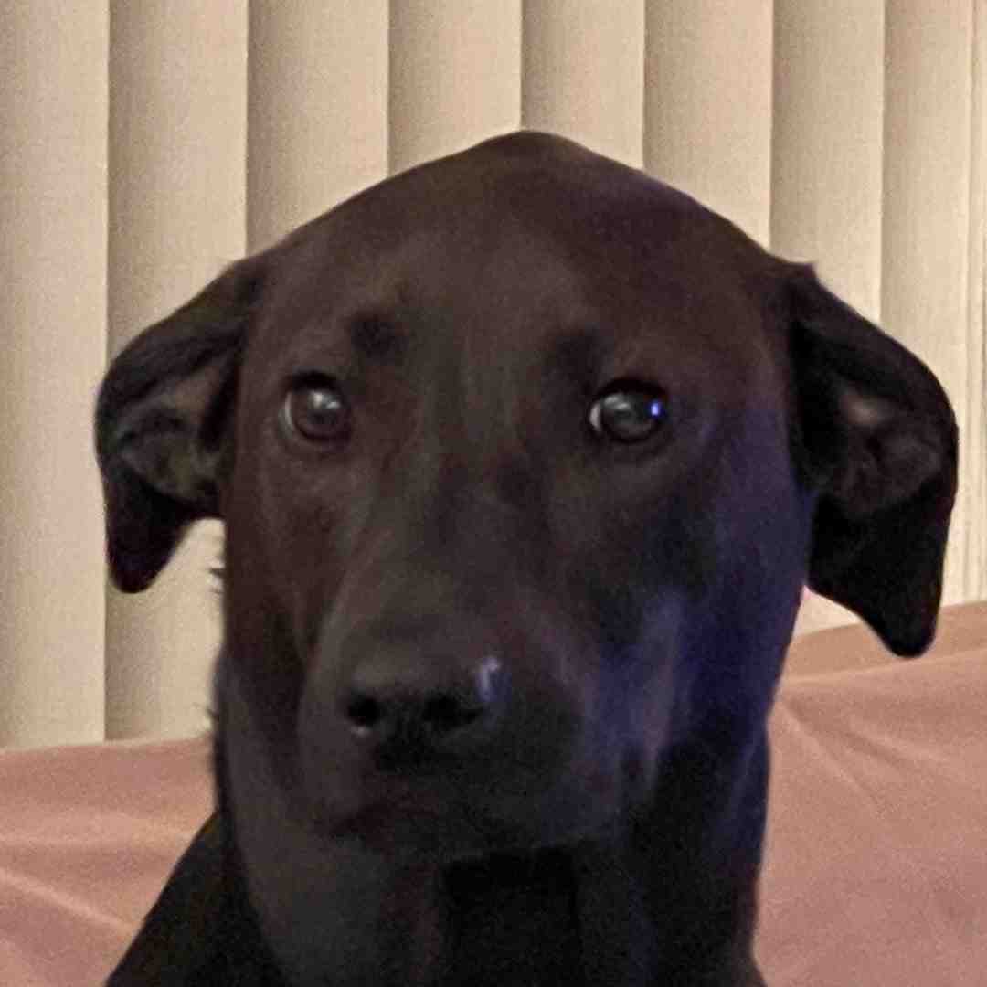 Who farted!!!