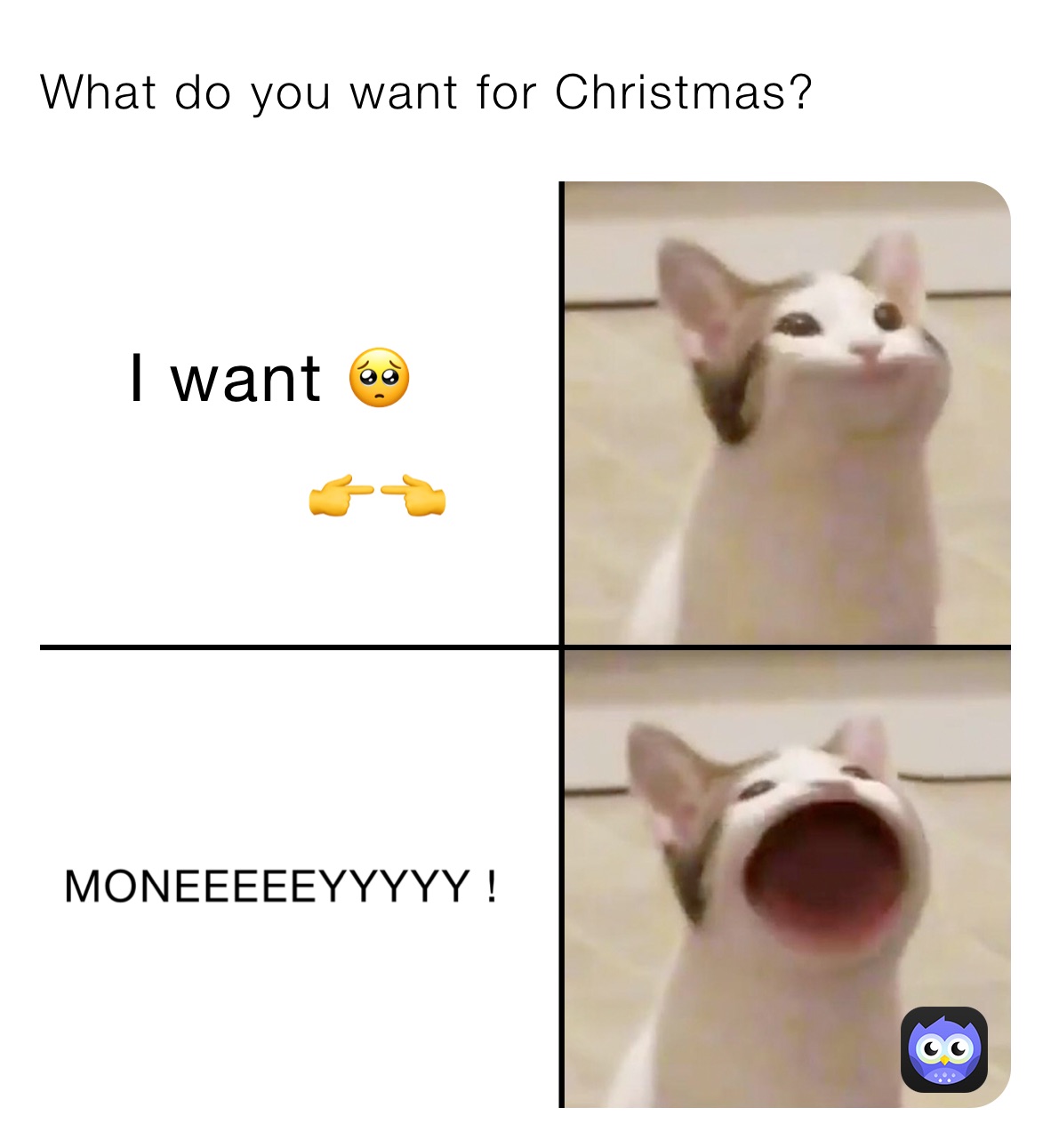 What do you want for Christmas?