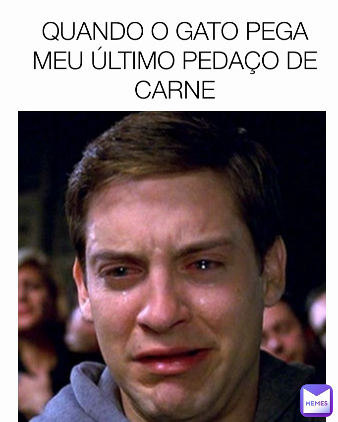 QUANDO O GATO PEGA MEU ÚLTIMO PEDAÇO DE CARNE