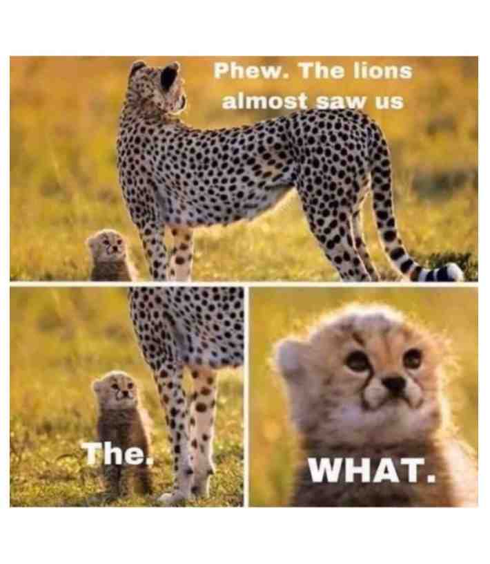 Haha😂