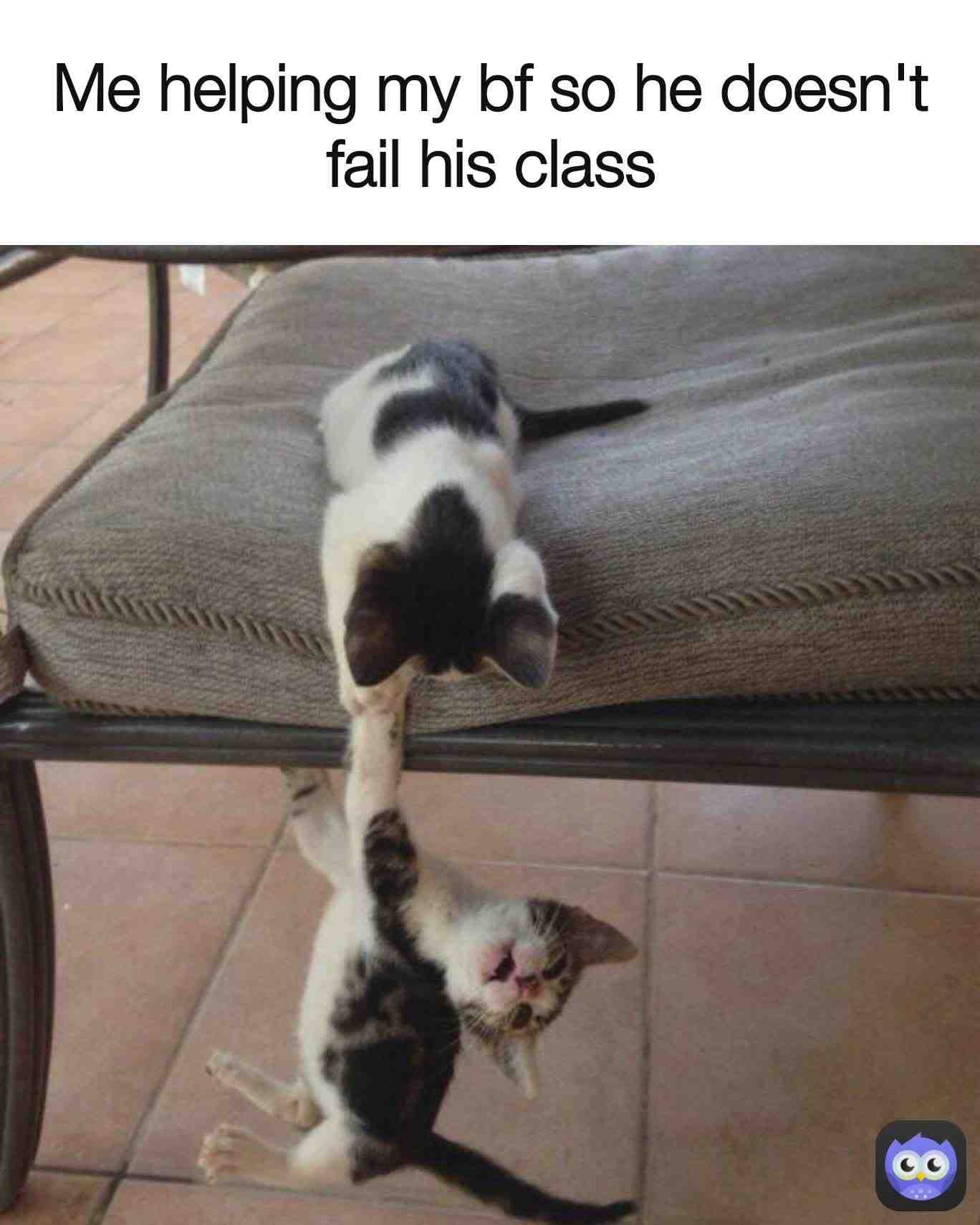 Meme shared by @mickjagger
